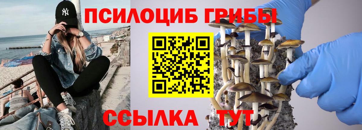 Псилоцибиновые грибы Psilocybine cubensis  Вход с VPN  Мирный 
